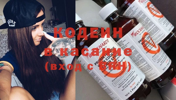 индика Алзамай