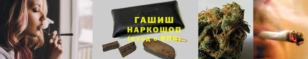 индика Алзамай