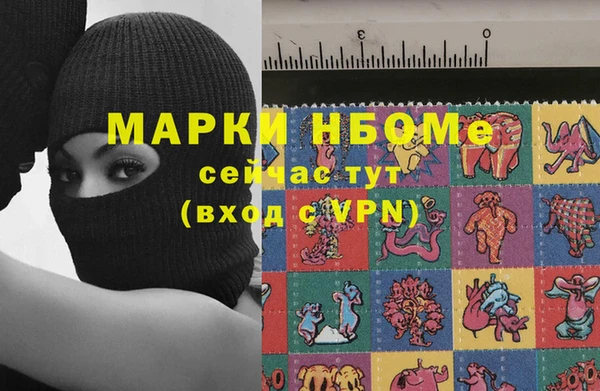 индика Алзамай